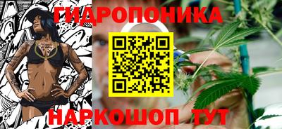 ешки Волгодонск