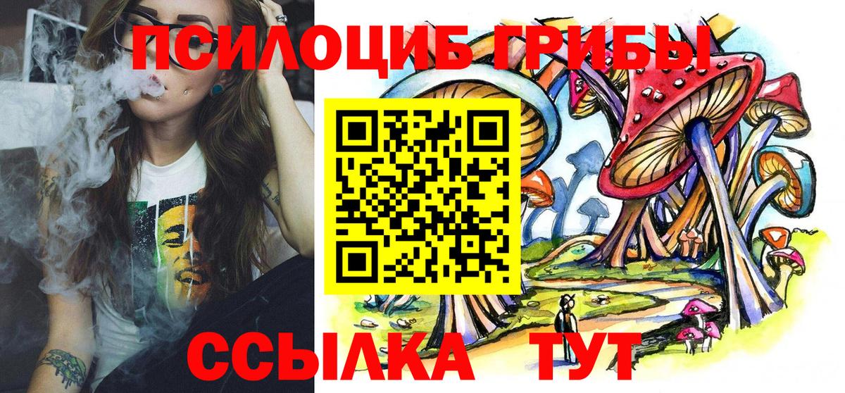 Балахна  как найти наркотики  Вход с VPN  Галлюциногенные грибы прущие грибы 